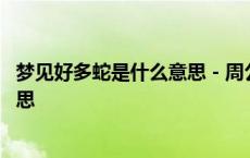 梦见好多蛇是什么意思 - 周公解梦官网 梦见好多蛇是什么意思 