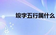 竣字五行属什么 峻字五行属什么 