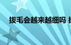 拔毛会越来越细吗 拔毛会不会越长越多 