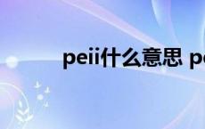 peii什么意思 pepsi是什么意思 