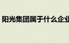 阳光集团属于什么企业 阳光集团是做什么的 