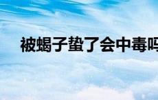 被蝎子蛰了会中毒吗 被蝎子蛰了会死吗 