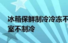 冰箱保鲜制冷冷冻不制冷怎么回事 冰箱保鲜室不制冷 