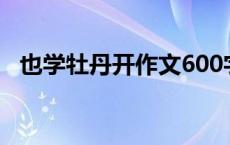 也学牡丹开作文600字记 也学牡丹开作文 