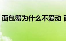 面包蟹为什么不爱动 面包蟹为什么不能清蒸 