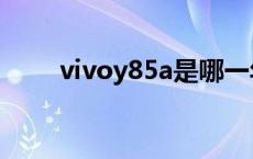 vivoy85a是哪一年出的 vivoy85a 