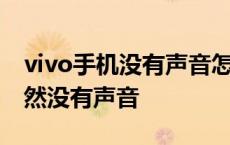 vivo手机没有声音怎么恢复正常 vivo手机突然没有声音 