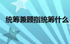 统筹兼顾指统筹什么 统筹兼顾是什么意思 