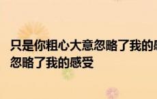 只是你粗心大意忽略了我的感受是什么歌 只是你太粗心大意忽略了我的感受 