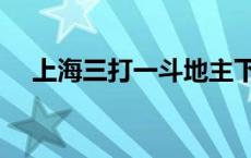 上海三打一斗地主下载安装 上海三打一 