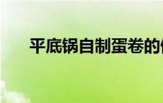 平底锅自制蛋卷的做法 平底锅鸡蛋卷 