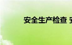 安全生产检查 安全生产大检查 