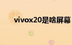 vivox20是啥屏幕 vivox20屏幕材质 