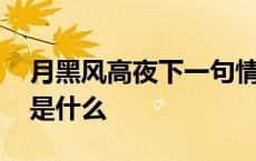 月黑风高夜下一句情话 月黑风高夜的下一句是什么 