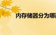 内存储器分为哪两大类 内存储器 