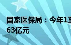 国家医保局：今年1至8月职工医保个账共济263亿元