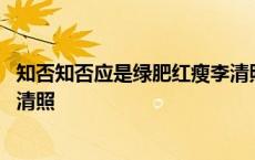 知否知否应是绿肥红瘦李清照全诗 知否知否应是绿肥红瘦李清照 