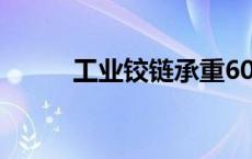 工业铰链承重600公斤 工业铰链 