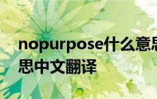 nopurpose什么意思中文翻译 nope什么意思中文翻译 