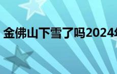 金佛山下雪了吗2024年1月 金佛山下雪了吗 