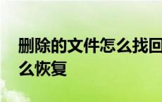 删除的文件怎么找回来 不小心删除的文件怎么恢复 