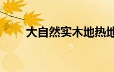 大自然实木地热地板 实木地热地板 