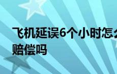 飞机延误6个小时怎么赔偿 飞机延误6小时有赔偿吗 