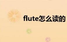 flute怎么读的 flute怎么读音 