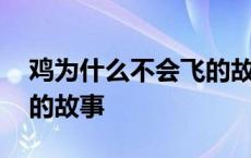 鸡为什么不会飞的故事视频 鸡为什么不会飞的故事 