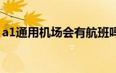 a1通用机场会有航班吗 通用机场会有航班吗 