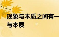 现象与本质之间有一条不可逾越的界限 现象与本质 