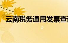 云南税务通用发票查询 云南地税发票查询 