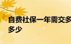 自费社保一年需交多少年 自费社保一年需交多少 