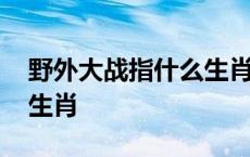 野外大战指什么生肖正确答案 野外大地打一生肖 