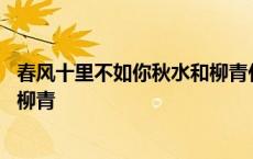 春风十里不如你秋水和柳青什么关系 春风十里不如你秋水和柳青 