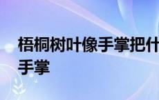 梧桐树叶像手掌把什么比作什么 梧桐树叶像手掌 