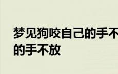 梦见狗咬自己的手不放但不疼 梦见狗咬自己的手不放 