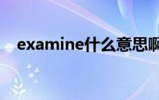 examine什么意思啊 examine什么意思 