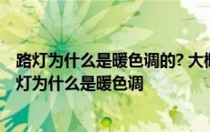 路灯为什么是暖色调的? 大概是想温暖每一个晚归的人吧 路灯为什么是暖色调 