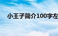 小王子简介100字左右 小王子简介50字 