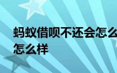 蚂蚁借呗不还会怎么样图片 蚂蚁借呗不还会怎么样 