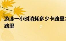 游泳一小时消耗多少卡路里才能减肥 游泳一小时消耗多少卡路里 