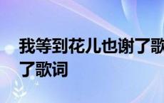 我等到花儿也谢了歌词含义 我等到花儿也谢了歌词 