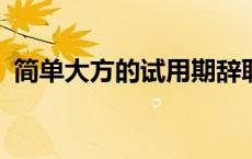 简单大方的试用期辞职信30字 辞职信30字 