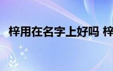 梓用在名字上好吗 梓字用在名字里好不好 