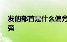 发的部首是什么偏旁结构 发的部首是什么偏旁 