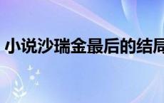 小说沙瑞金最后的结局 沙瑞金第二部变坏了 