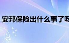 安邦保险出什么事了呀 安邦保险出什么事了 