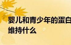 婴儿和青少年的蛋白质代谢状况应维持什么 维持什么 