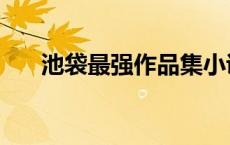 池袋最强作品集小说 池袋最强作品集 